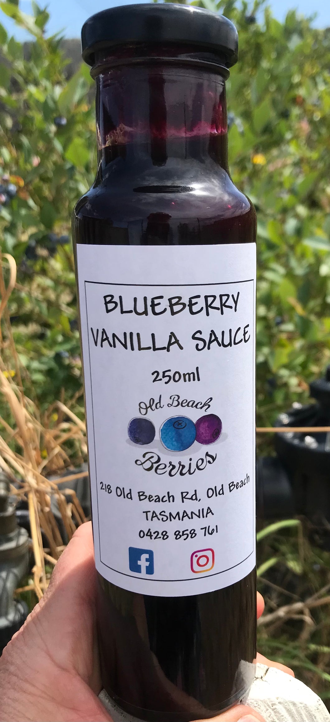 Blueberry Vanilla Sauce 250ml