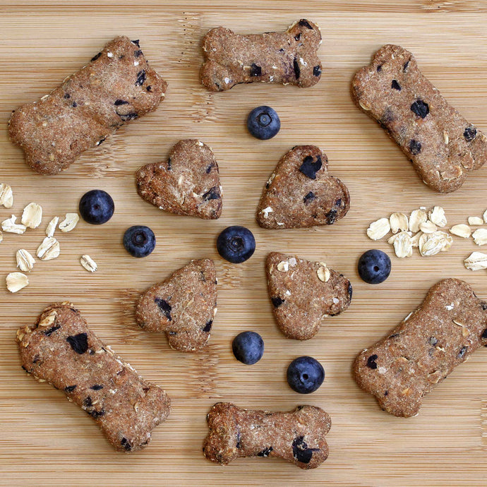 Easy four ingredient blueberry dog treats