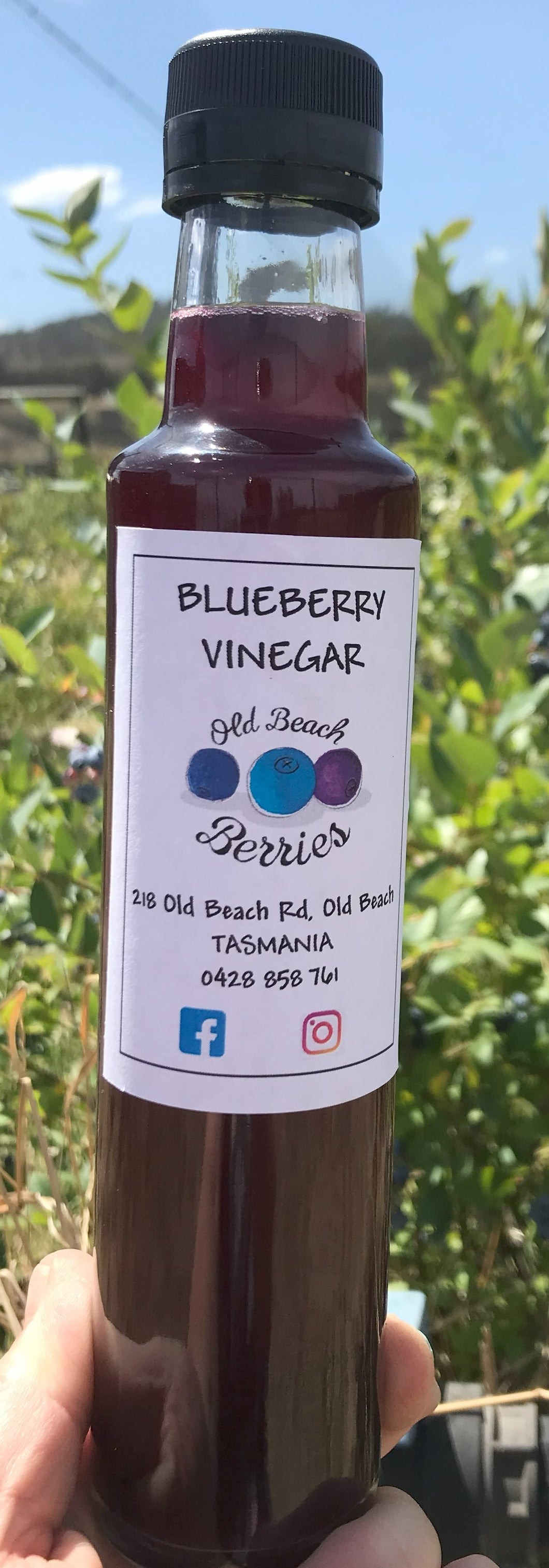 Blueberry Vinegar 250ml