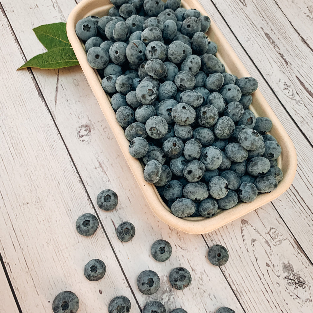 Fresh blueberries 1kg