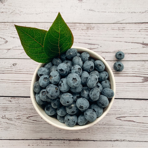 Bowl of fresh blueberries.